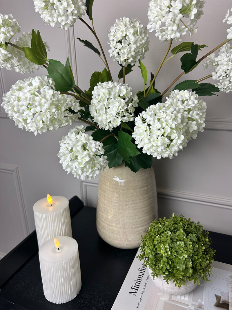 Viburnum Opulus snowball floral stem