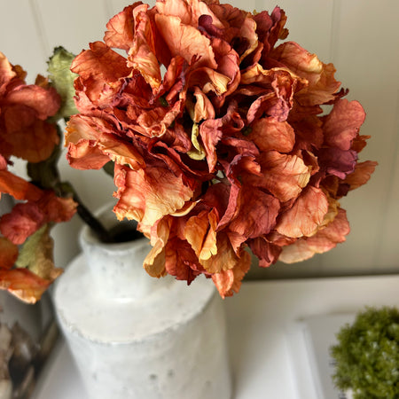 Burnt orange ruffled real feel hydrangea