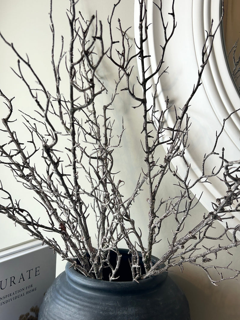 Hawthorn twig Branch