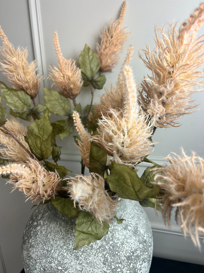 Mocha oyster Alexis Tall spike Spray Stem