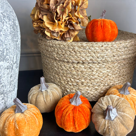 Bag of 6 autumnal pumpkins