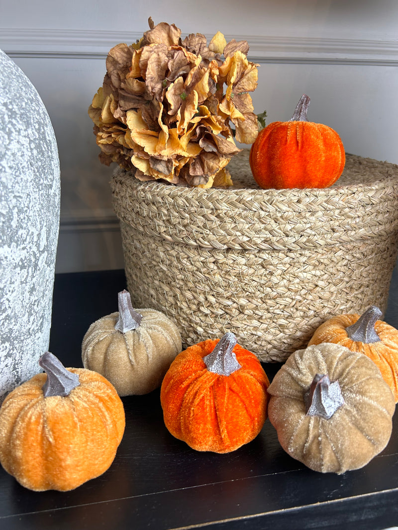 Bag of 6 autumnal pumpkins