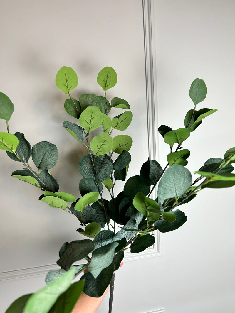 Natural Green Silver Dollar Eucalyptus Spray multi Stem bunch