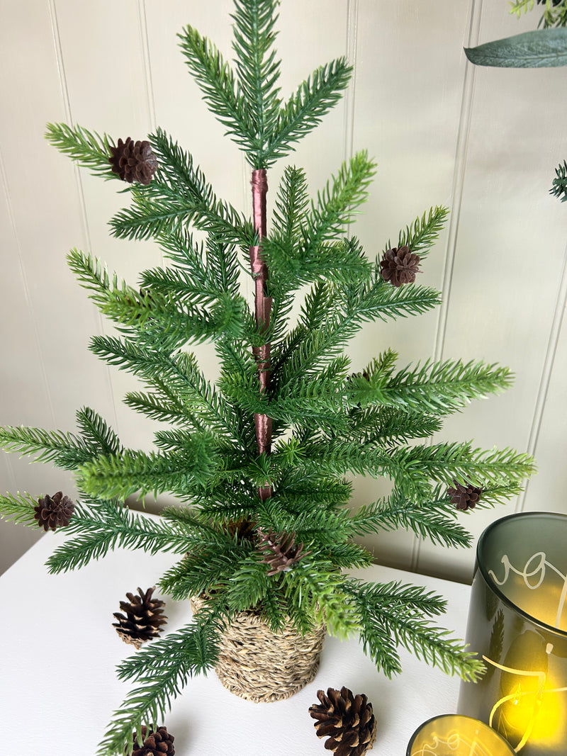 Medium Spruce Christmas Tree in Wicker Basket