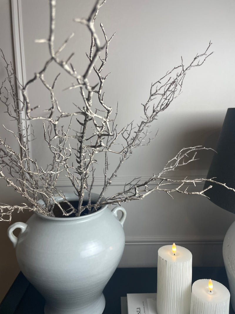 Hawthorn twig Branch