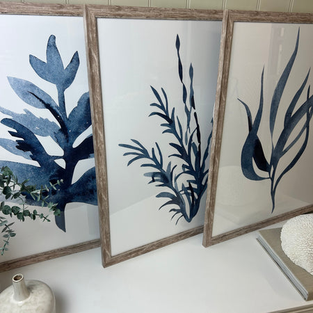 Blue wood framed coral seaweed pictures art 3 styles