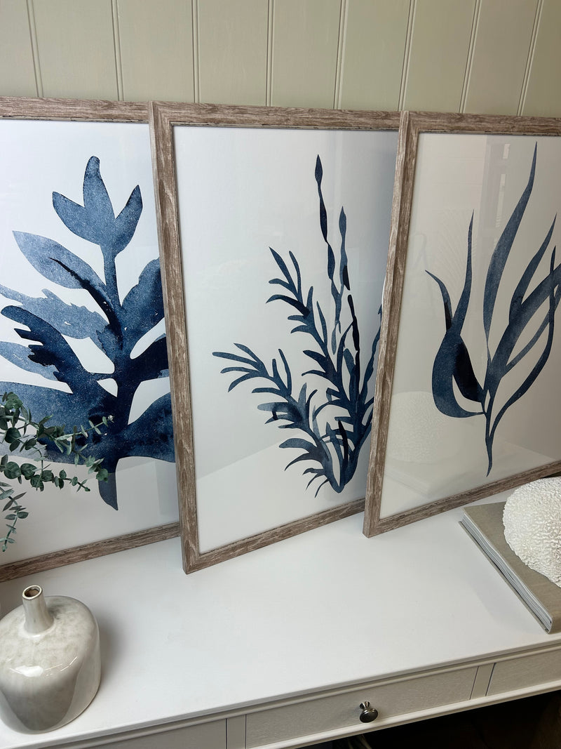 Large white coral picture frame