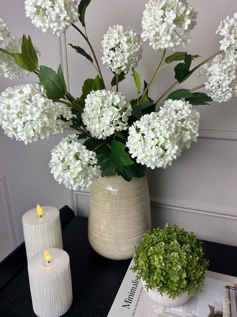 Viburnum Opulus snowball floral stem