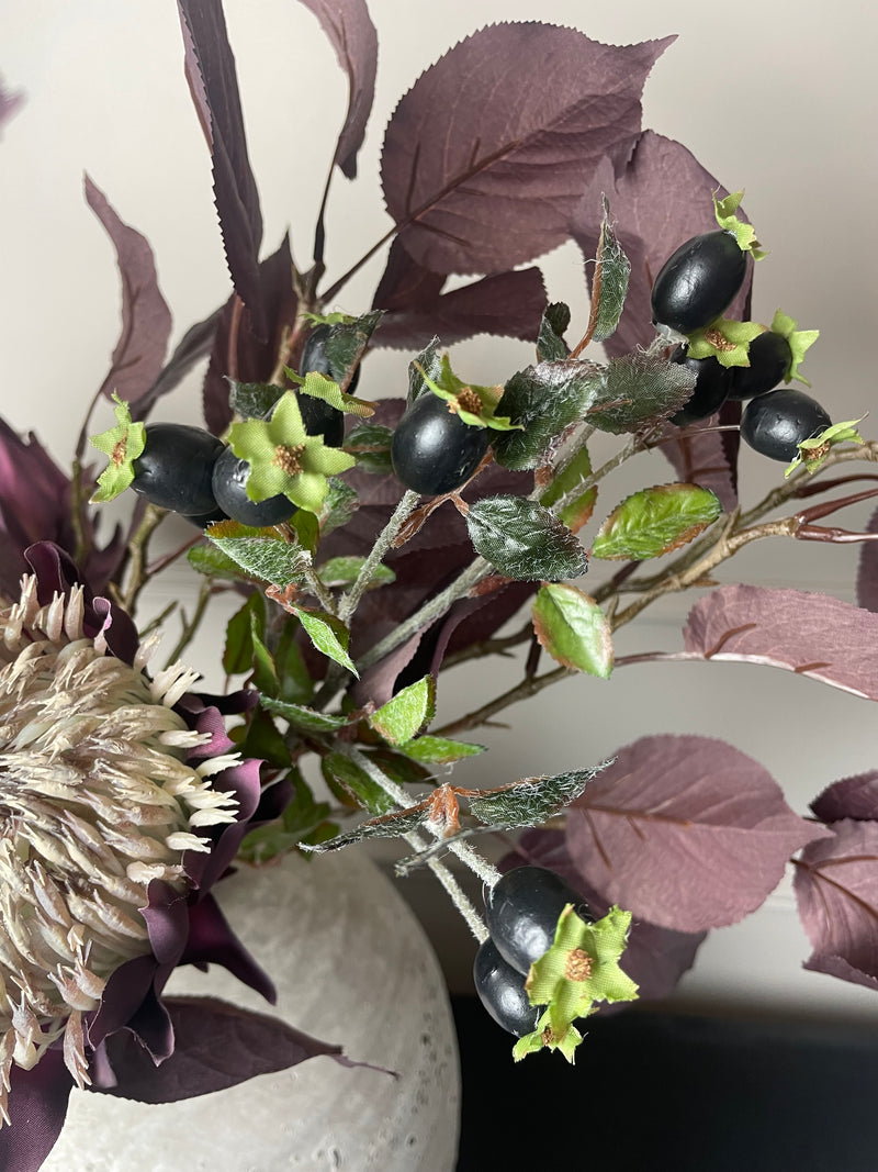 Rose hips black berry stem
