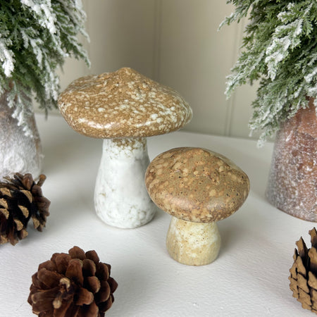 Natural stoneware ceramic mushroom toadstool brown cream 2 sixes