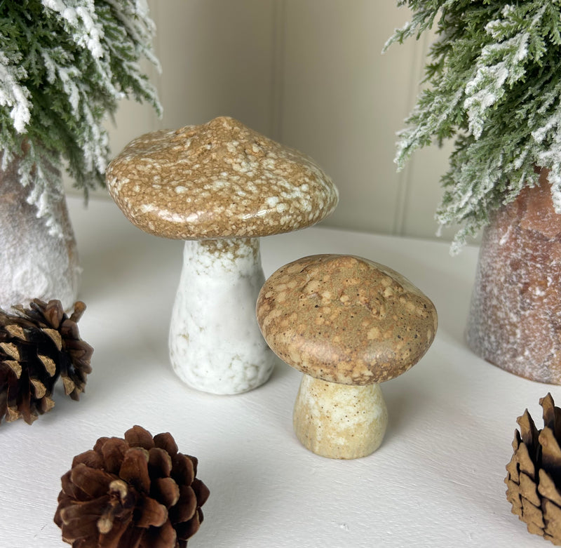 Natural stoneware ceramic mushroom toadstool brown cream 2 sixes