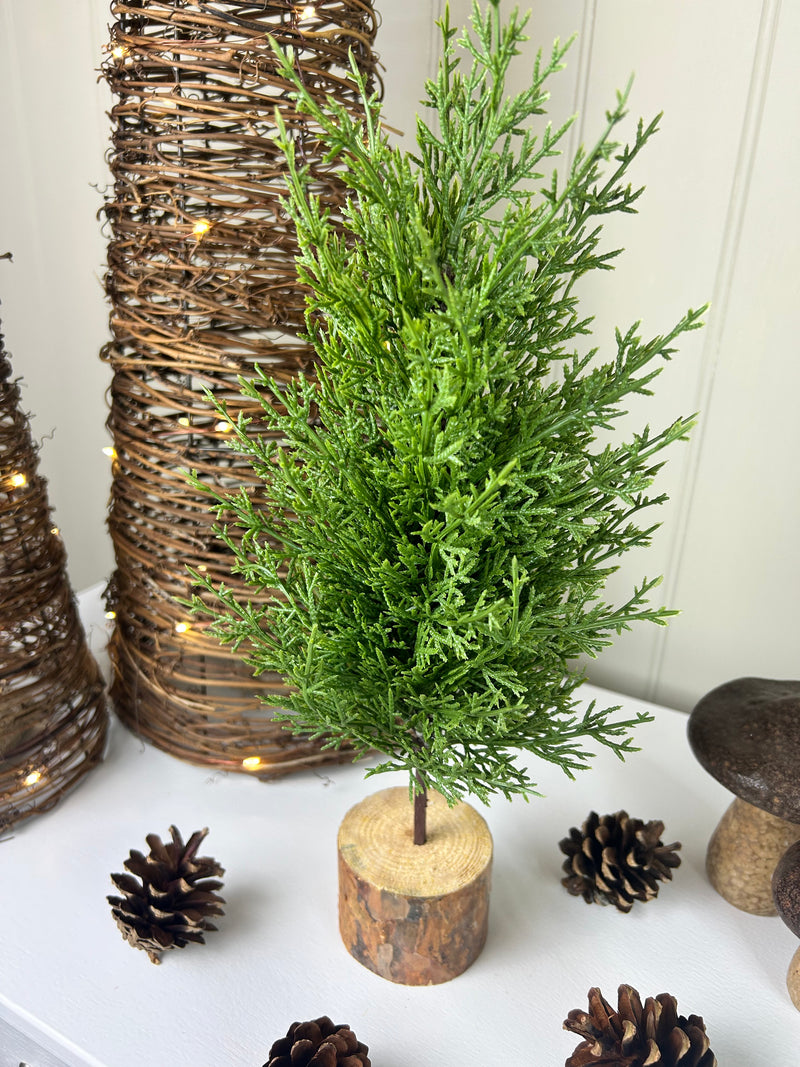 Green Fir Tree on Log Base
