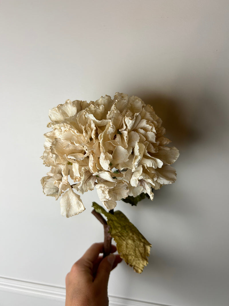 Oyster blush Ruffled Hydrangea Stem