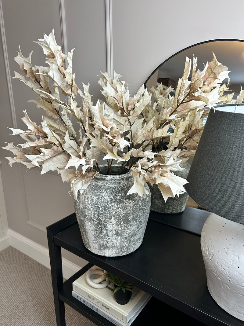 Oyster Dried Touch Winter Branch