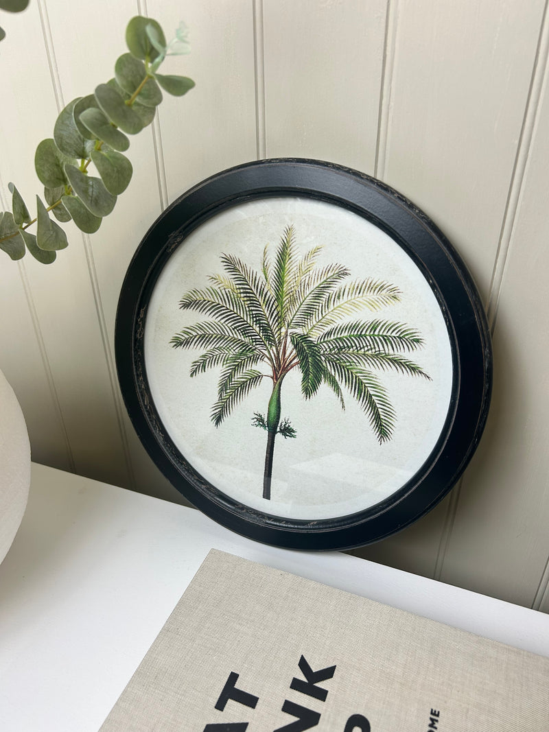 Round tree palm tree tropical print 35cm 4 styles