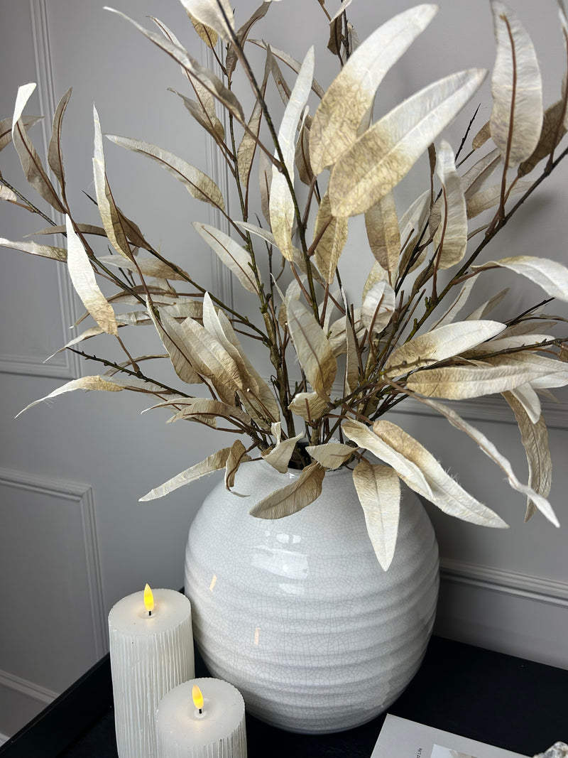 Dried touch Tall oyster slim leaf stem 90cm
