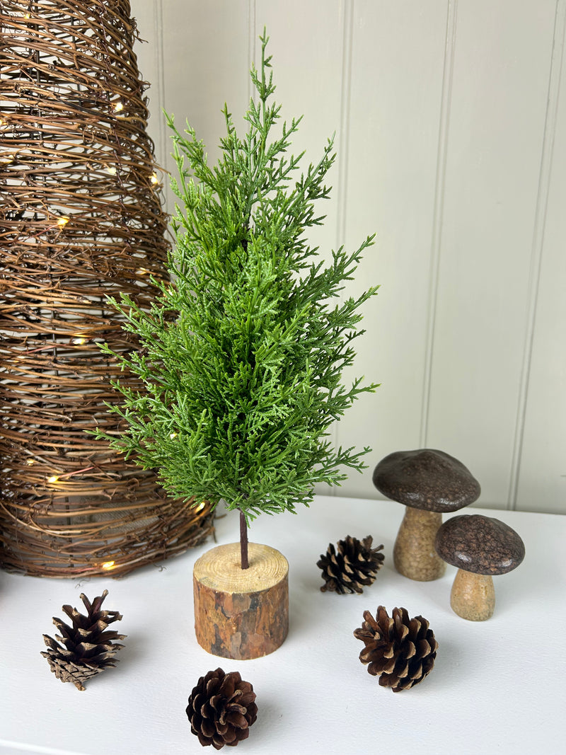 Green Fir Tree on Log Base