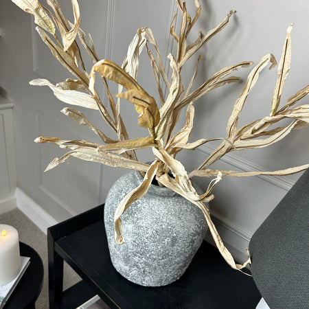 Cream oyster tall Reed Stem