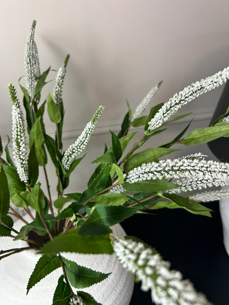 White Veronica multi stem 70cm