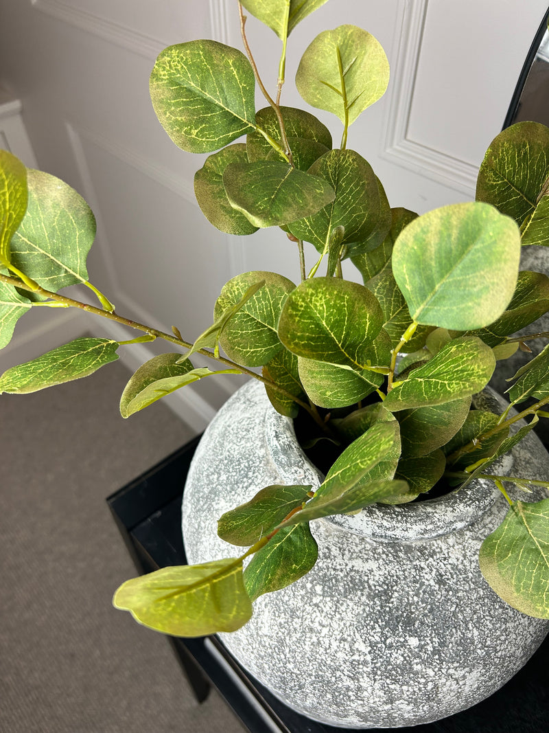 Single stem natural green & Brown dollar eucalyptus 72cm