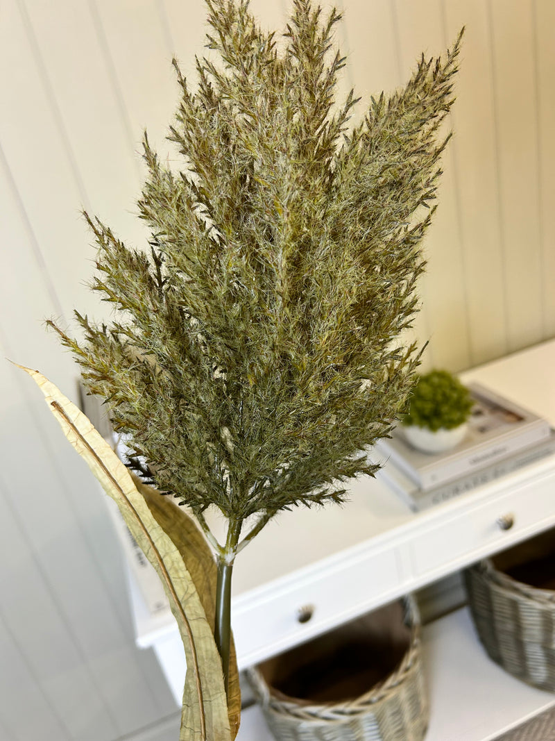 Green Feathered pampas astilbe stem 85cm