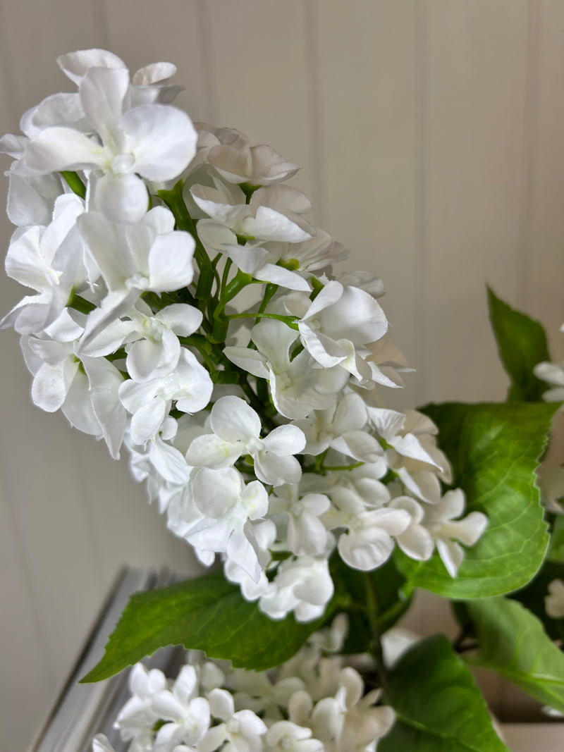 Paniculata hydrangea tall 2 head stem cream white 75cm