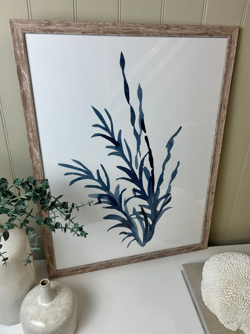 Blue wood framed coral seaweed pictures art 3 styles