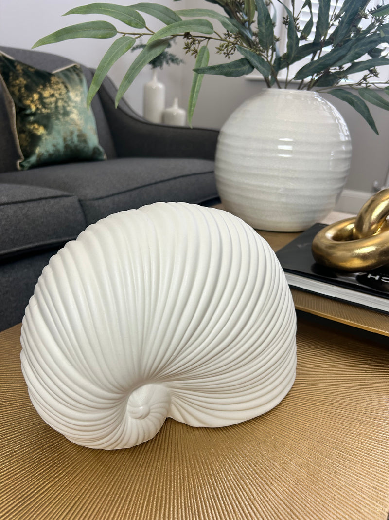 White Sea snail shell ornament