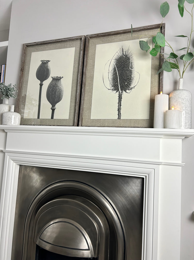 Set of two Poppy Teasel framed prints