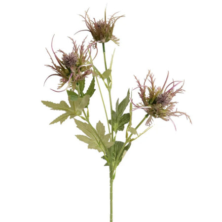 Purple thistle stem 62cm