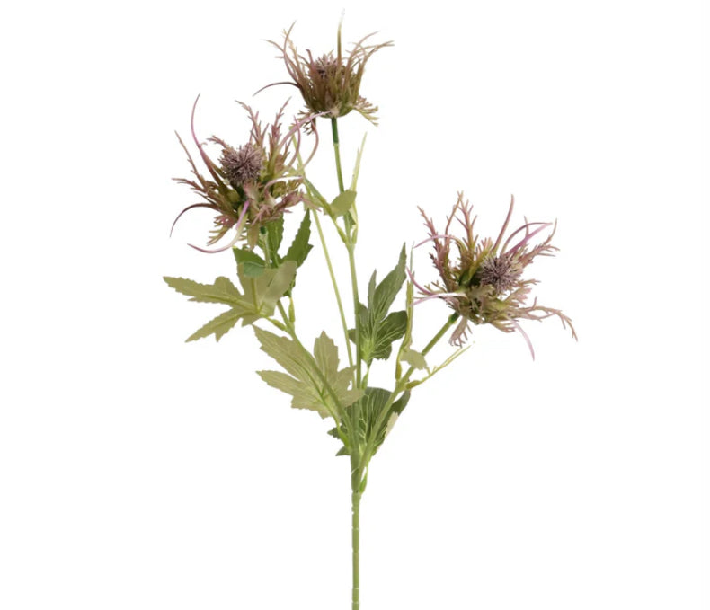 Purple thistle stem 62cm