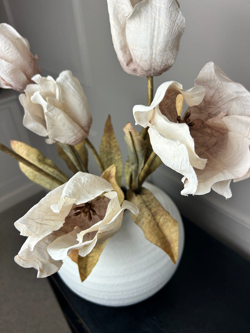 Dried real feel oyster tulip stem 70cm