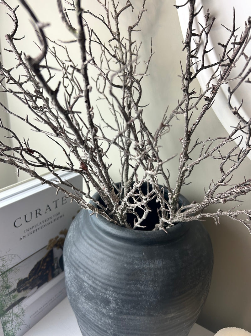 Hawthorn twig Branch