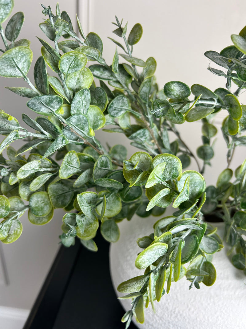 Gum drop button leaf stem multi bunch eucalyptus 69cm