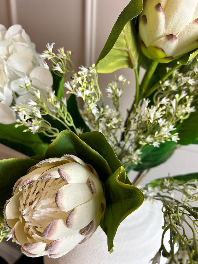 Off white closed protea stem
