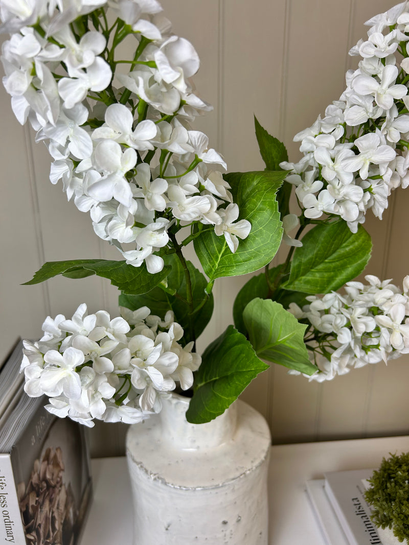 Paniculata hydrangea tall 2 head stem cream white 75cm