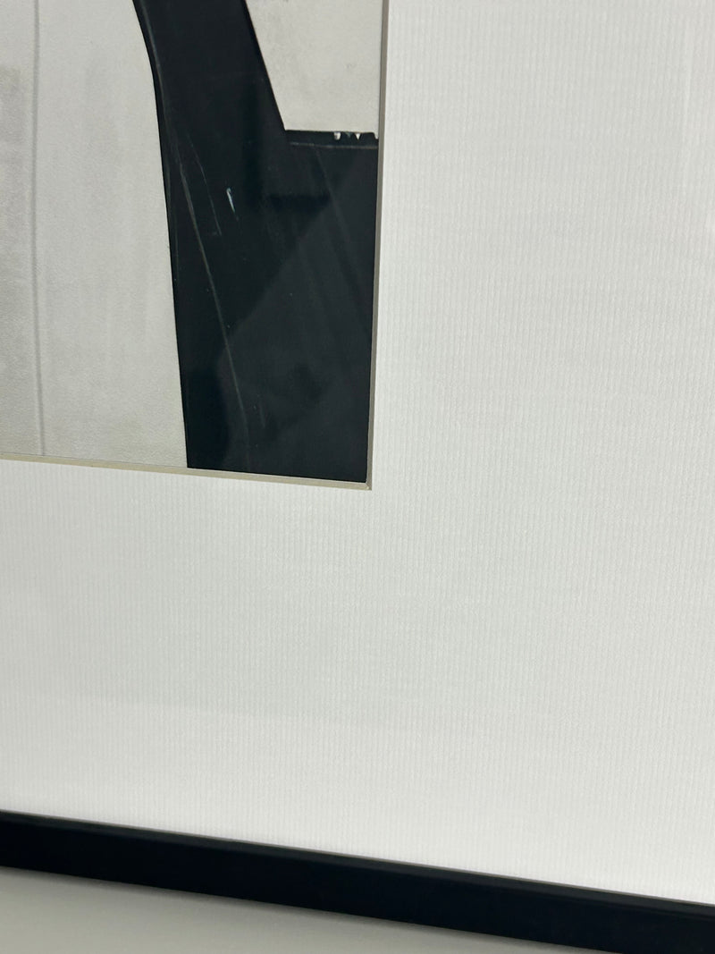 Set of two Monochrome frame frame mounted Graphic Serenity pictures