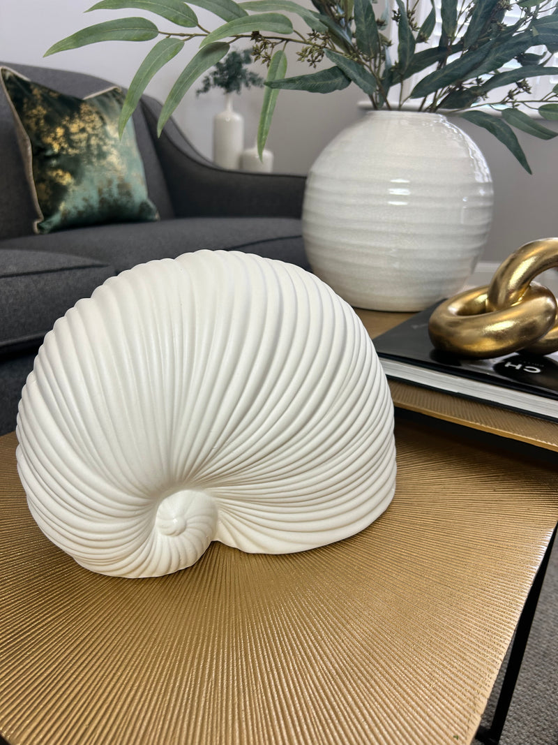 White Sea snail shell ornament