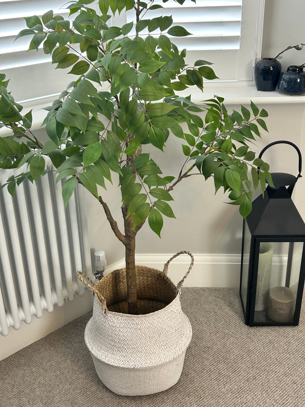 ailanthus altissima bonsai Tree of Heaven' Ailanthus Altissima Potted Tall Plant Tree 120cm and – Abode