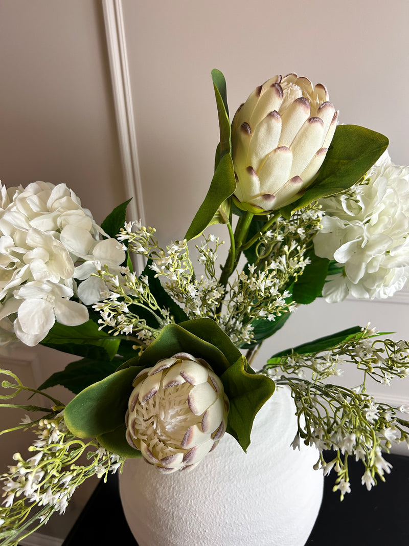 Off white closed protea stem