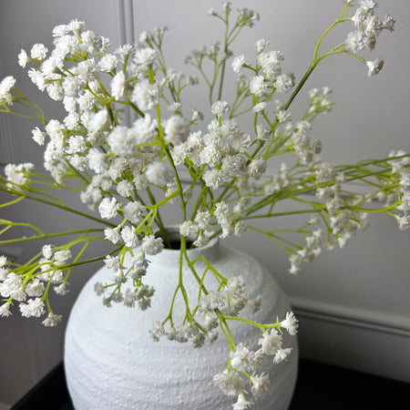 Gypsophila stem 60cm