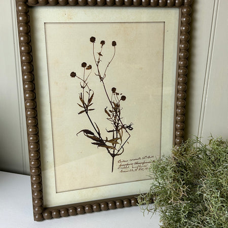 Brown bobble framed delicate floral flowers prints pictures 4 styles