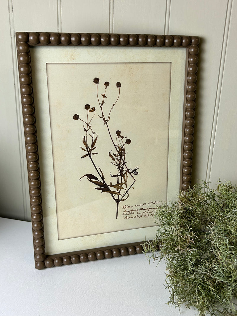 Brown bobble framed delicate floral flowers prints pictures 4 styles