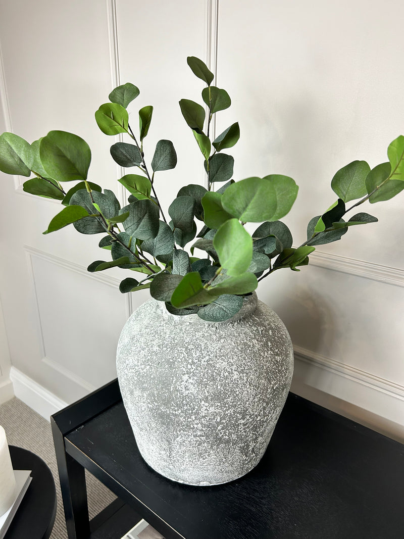 Natural Green Silver Dollar Eucalyptus Spray multi Stem bunch