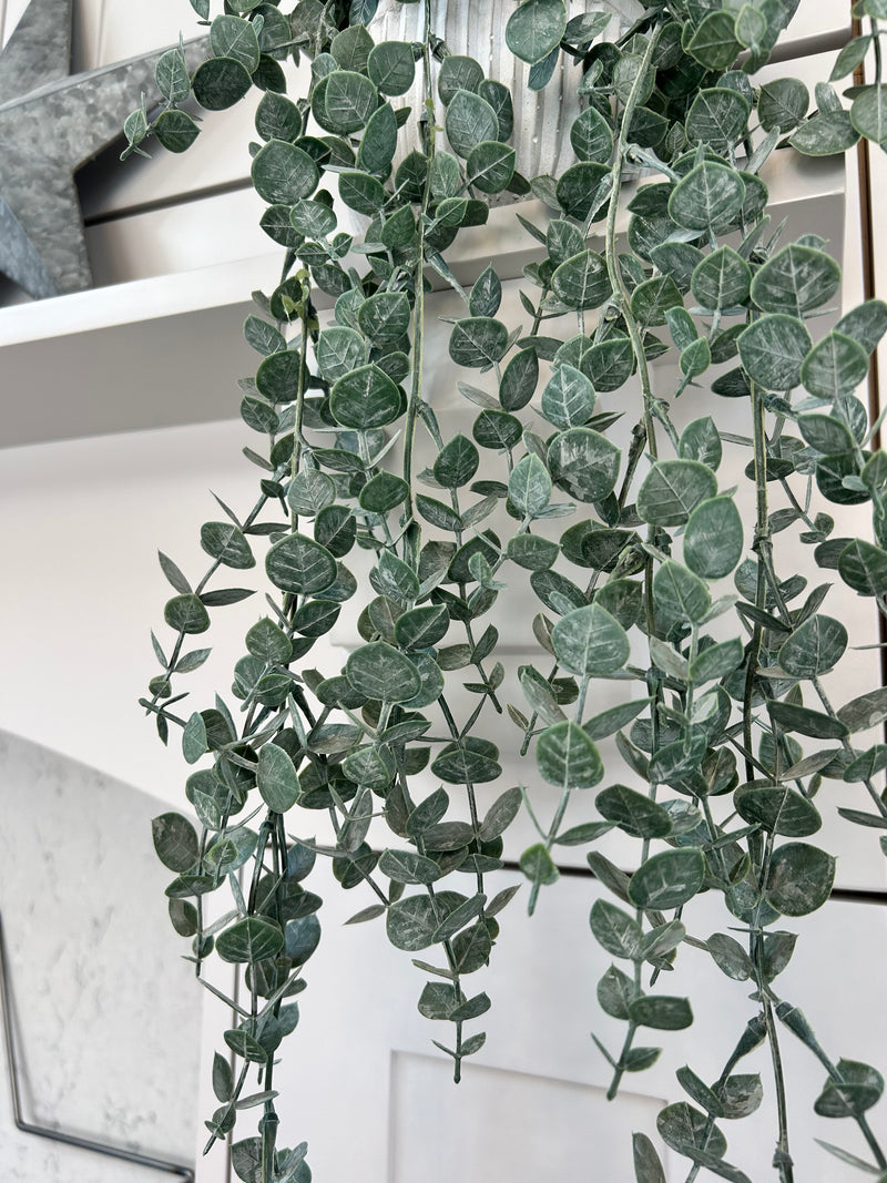 Trailing Gunni Eucalyptus Pick