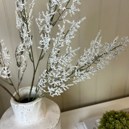 White Limonium Spray Stem 76cm