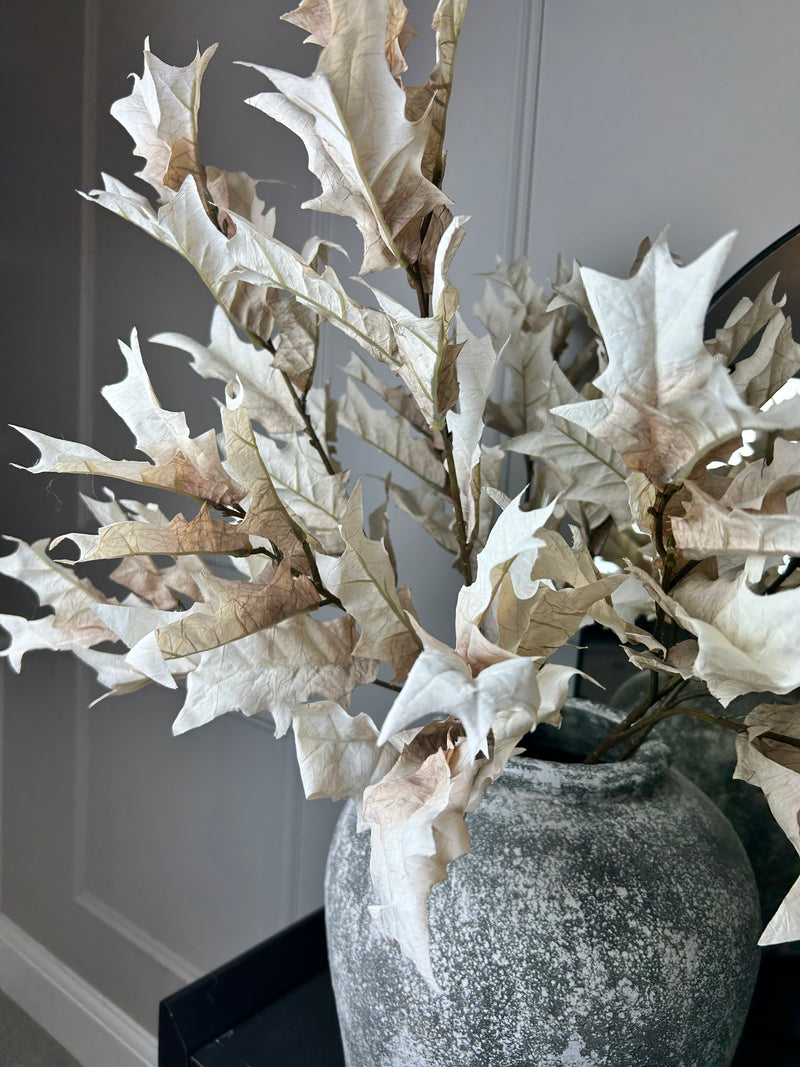 Oyster Dried Touch Winter Branch
