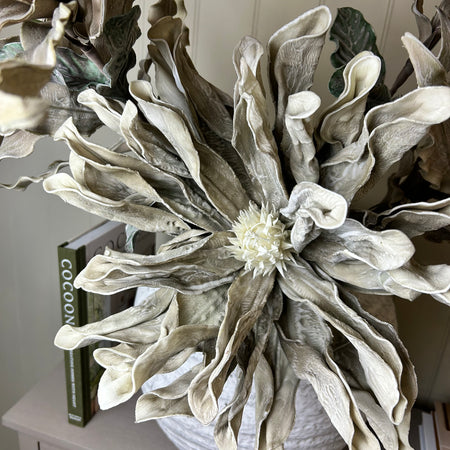 Tall cream taupe beige dahlia flower 80cm