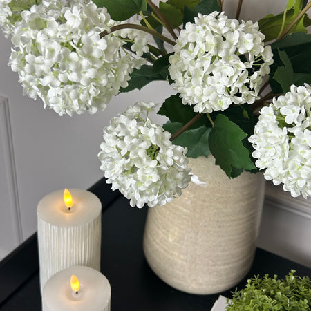 Viburnum Opulus snowball floral stem
