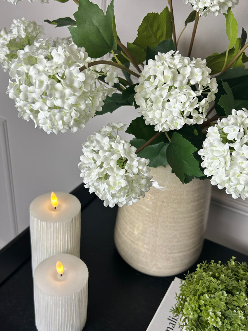 Viburnum Opulus snowball floral stem